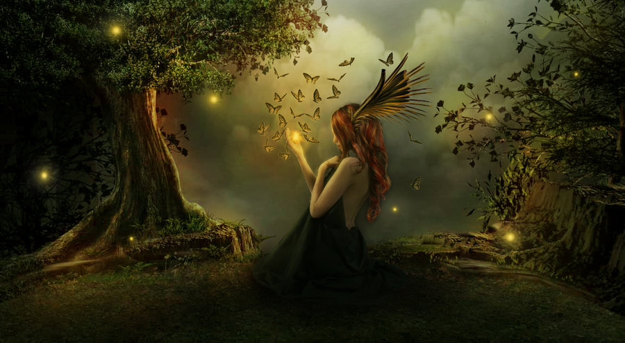 phantasy reverie download phantasy reverie download
